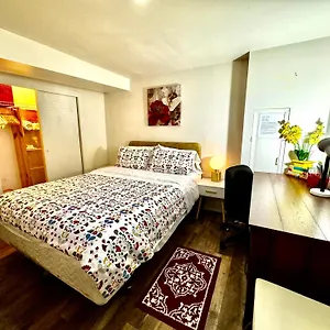  Homestay Cozy Private With Shared Bathroom On The 1st Floor - Conveniently Located Near Seatac Airport And Downtown United States